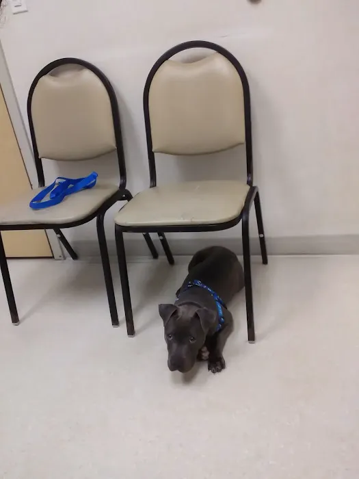 Wyoming Valley Veterinary Hospital Picture 10