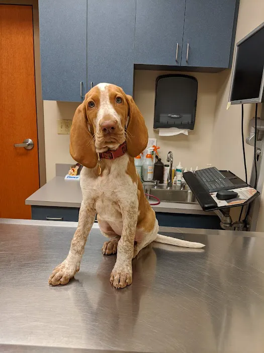 Wyoming Valley Veterinary Hospital Picture 9