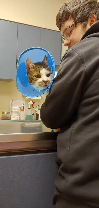 Wyoming Valley Veterinary Hospital Picture 3