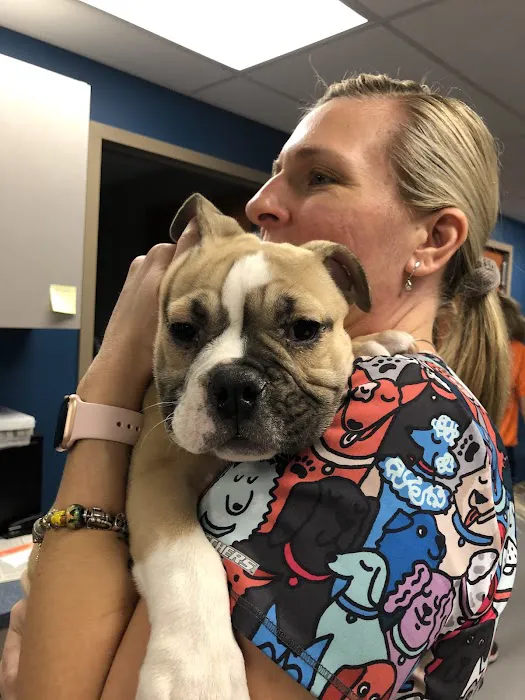 Wyoming Valley Veterinary Hospital Picture 7