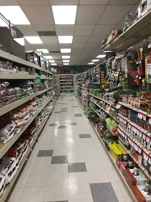 Pet Supplies Plus Dearborn Picture 1