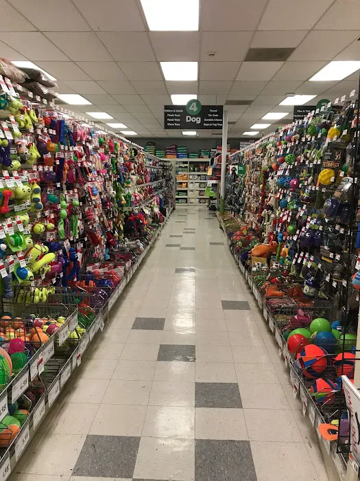 Pet Supplies Plus Dearborn Picture 9