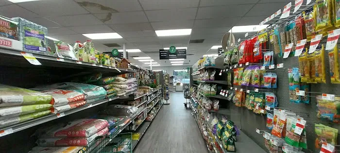 Pet Supplies Plus Dearborn Picture 3