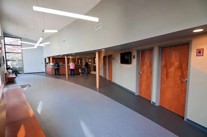West Side Veterinary Hospital Picture 9