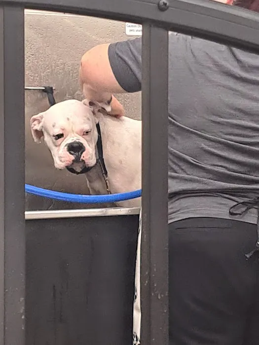 Pet Supplies Plus Southgate Picture 1