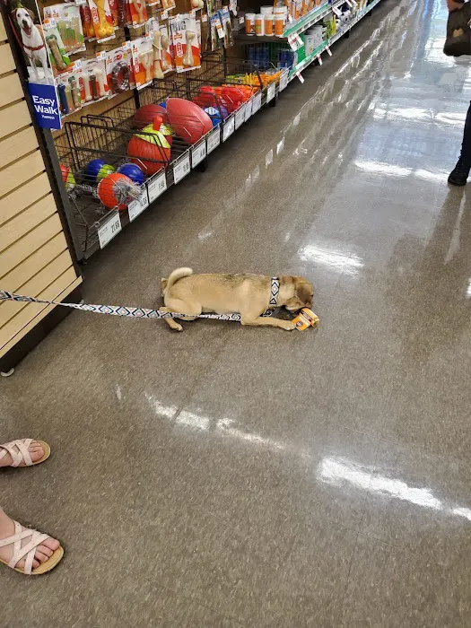 Pet Supplies Plus Southgate Picture 8