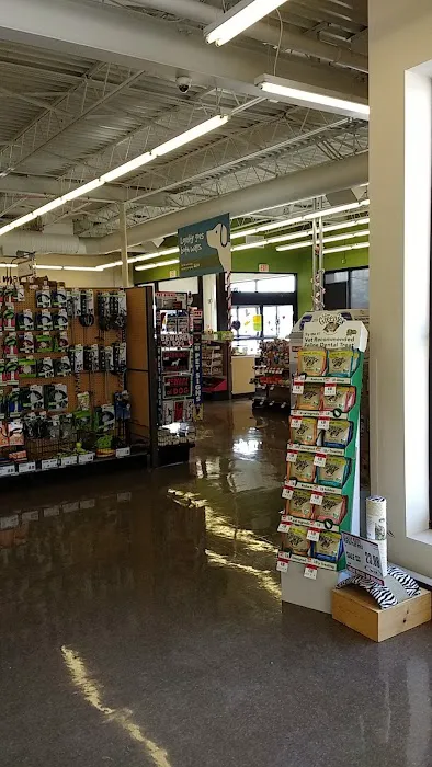 Pet Supplies Plus Southgate Picture 5