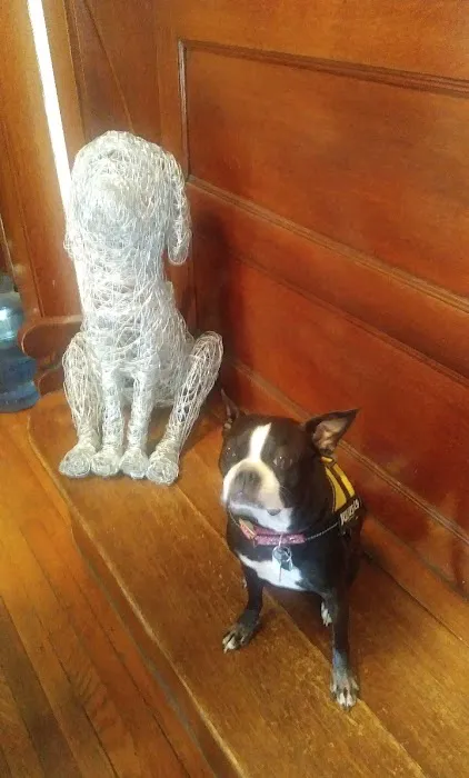 Kingston Veterinary Clinic Picture 7