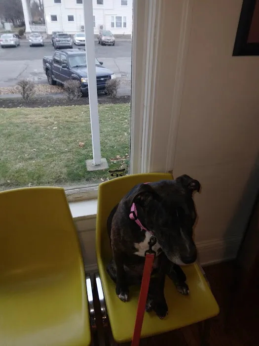 Kingston Veterinary Clinic Picture 1