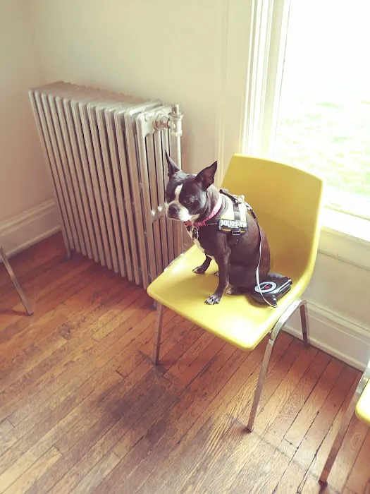 Kingston Veterinary Clinic Picture 9