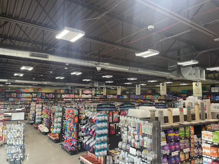 Premier Pet Supply Picture 1