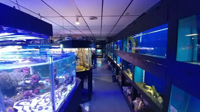 Oceans and Seas Picture 2