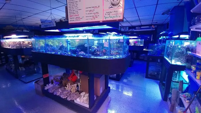 Oceans and Seas Picture 3