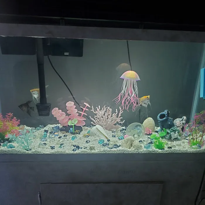 Oceans and Seas Picture 5