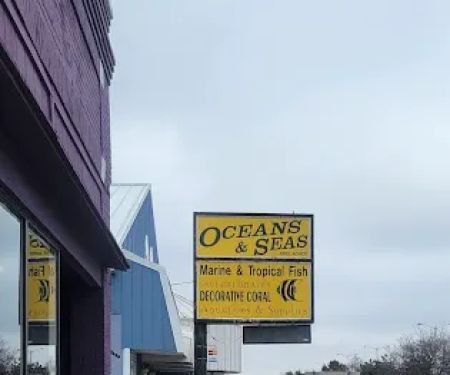 Oceans and Seas