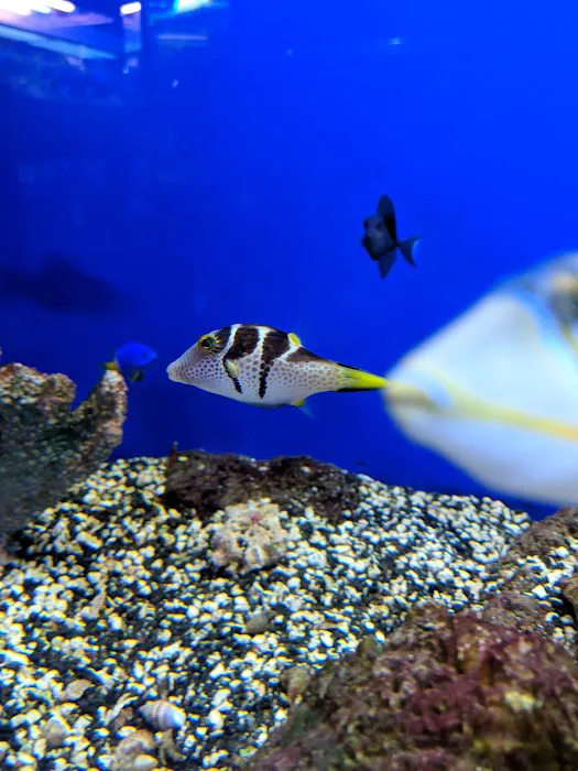 Oceans and Seas Picture 10