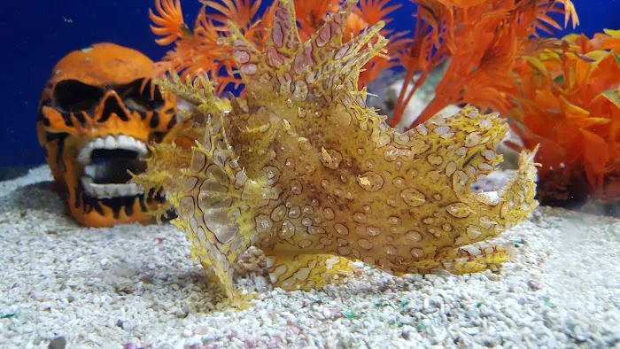 Oceans and Seas Picture 9