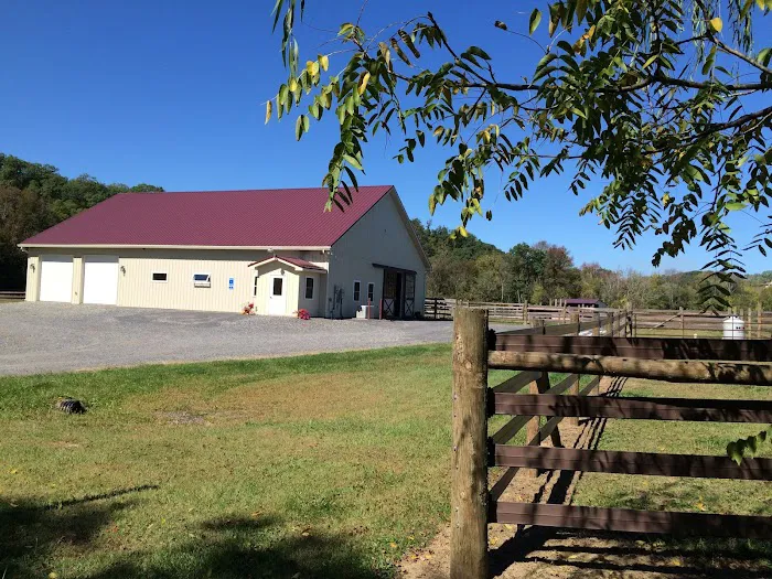 Quodomine Veterinary Services Picture 5