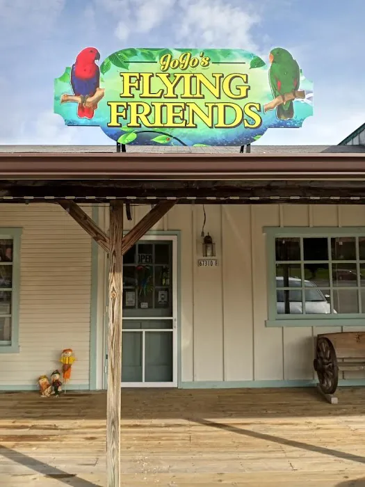 JoJo’s Flying Friends Picture 4