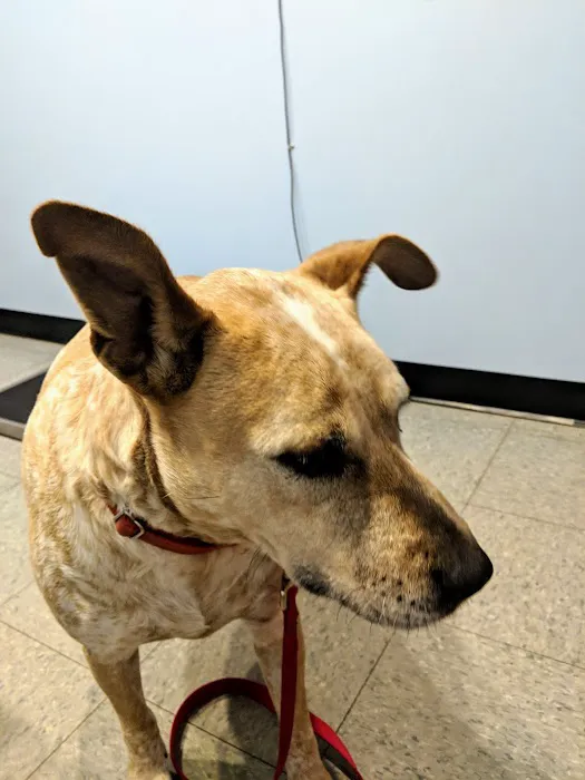 Sweet Valley Veterinary Clinic Picture 1