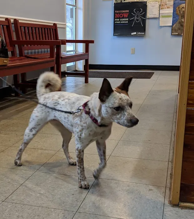 Sweet Valley Veterinary Clinic Picture 3