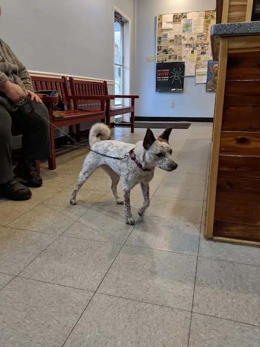 Sweet Valley Veterinary Clinic Picture 5