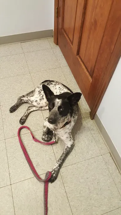 Sweet Valley Veterinary Clinic Picture 4