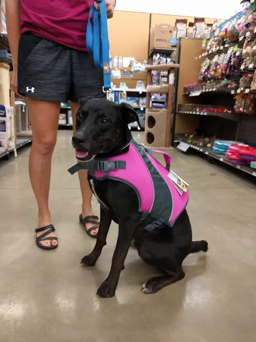 Petco Picture 4