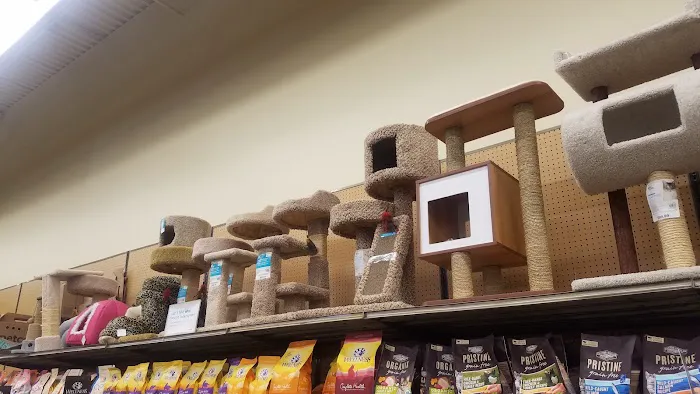 Petco Picture 6