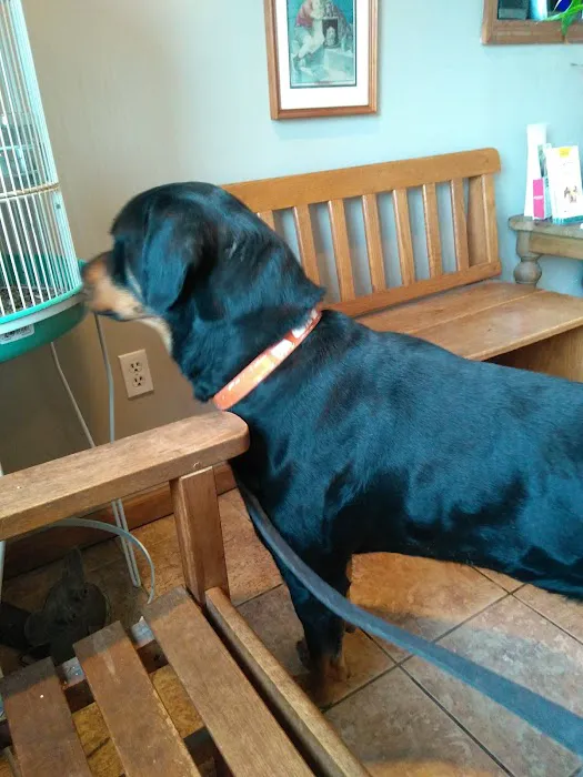 Valley View Veterinary Clinic Picture 1