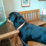 Valley View Veterinary Clinic