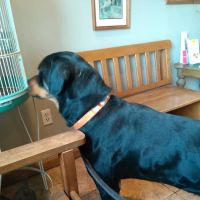 Valley View Veterinary Clinic ico