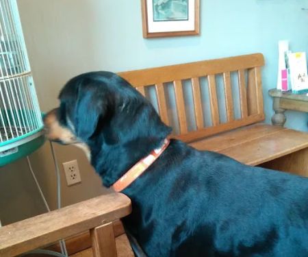 Valley View Veterinary Clinic