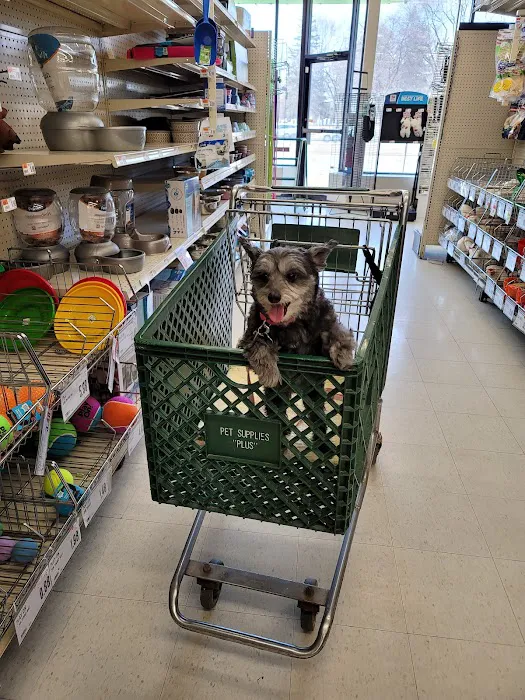Pet Supplies Plus Royal Oak Picture 6