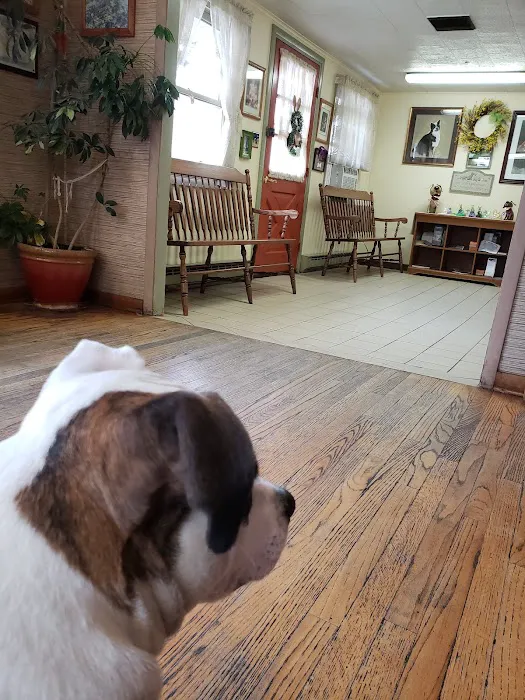 Trucksville Dog & Cat Hospital Picture 2