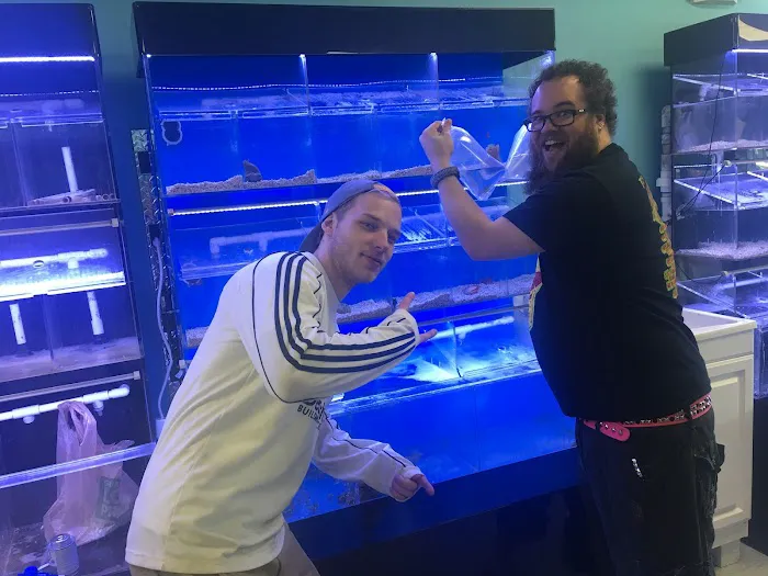 Atlantis Fish Shoppe Picture 2