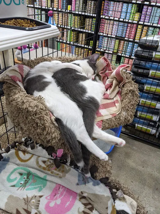 Premier Pet Supply Picture 3