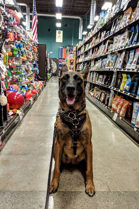 Premier Pet Supply Picture 6