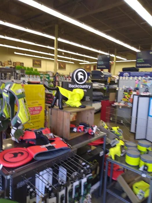 Petco Picture 3