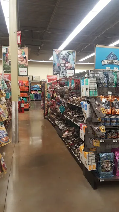 Petco Picture 1