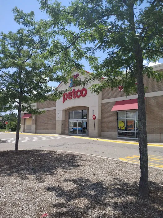 Petco Picture 7
