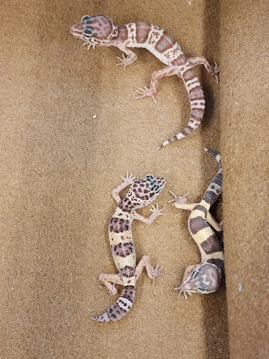 Petco Picture 8