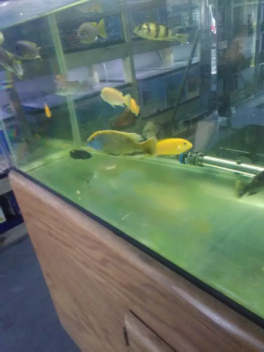 Fishy Bizz Picture 4