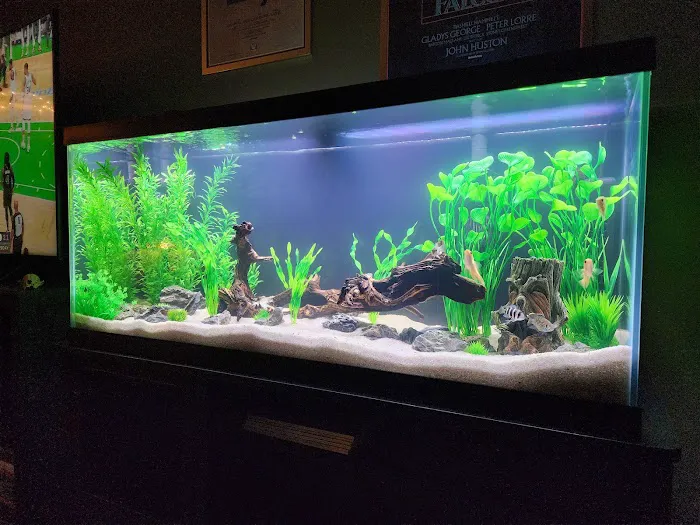 Fishy Bizz Picture 7