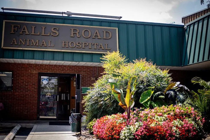 Falls Road Animal Hospital Picture 7