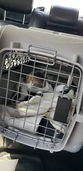 Loving Pet Care Hospital Picture 5