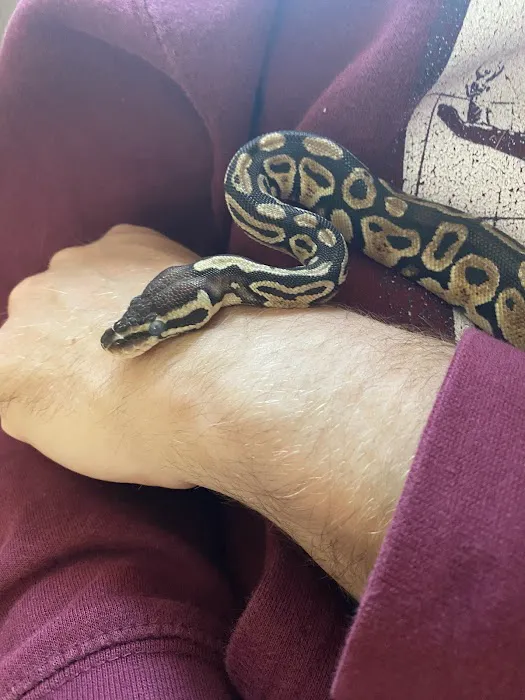 Raising Reptiles Picture 8