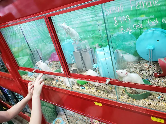 Magoo's Pet Outlet Picture 8