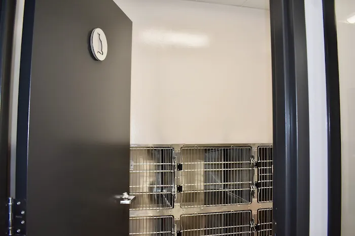 Lakeview Animal Hospital Picture 2
