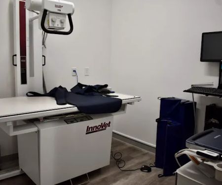 Lakeview Animal Hospital